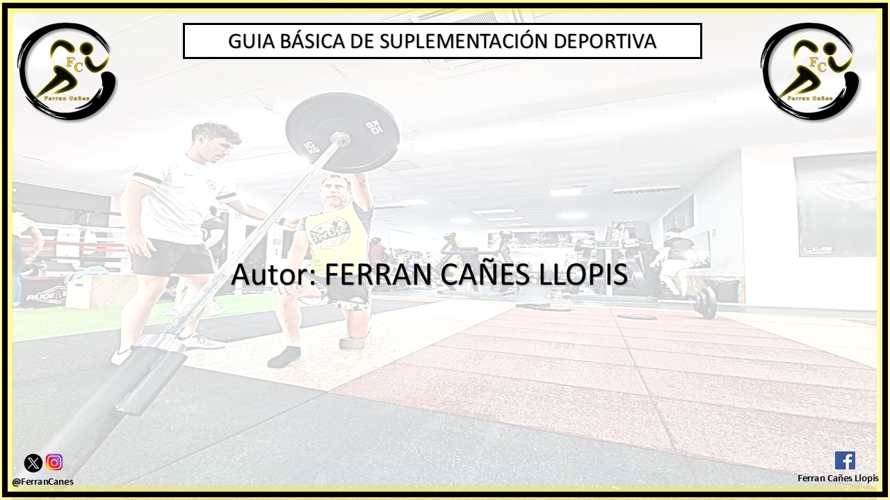 Diapositiva3